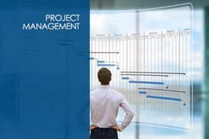 Project Management Professional (PMP Certification Prep) 6th edition PMBOK